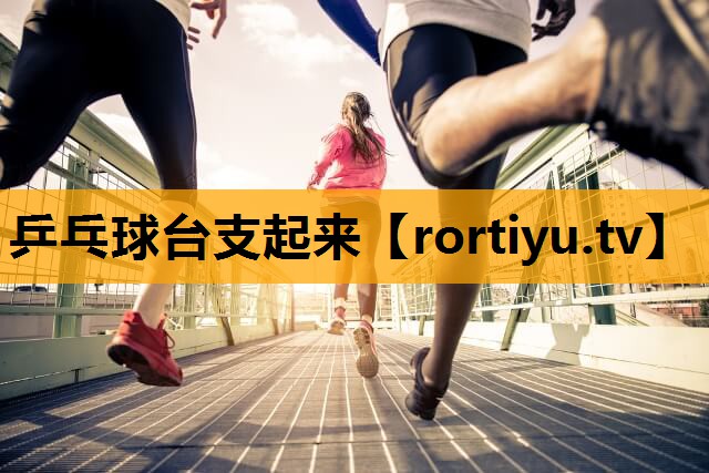 乒乓球台支起来