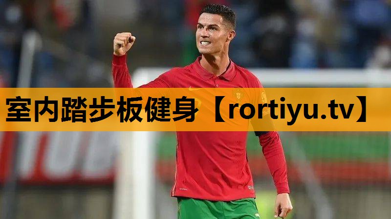 室内踏步板健身