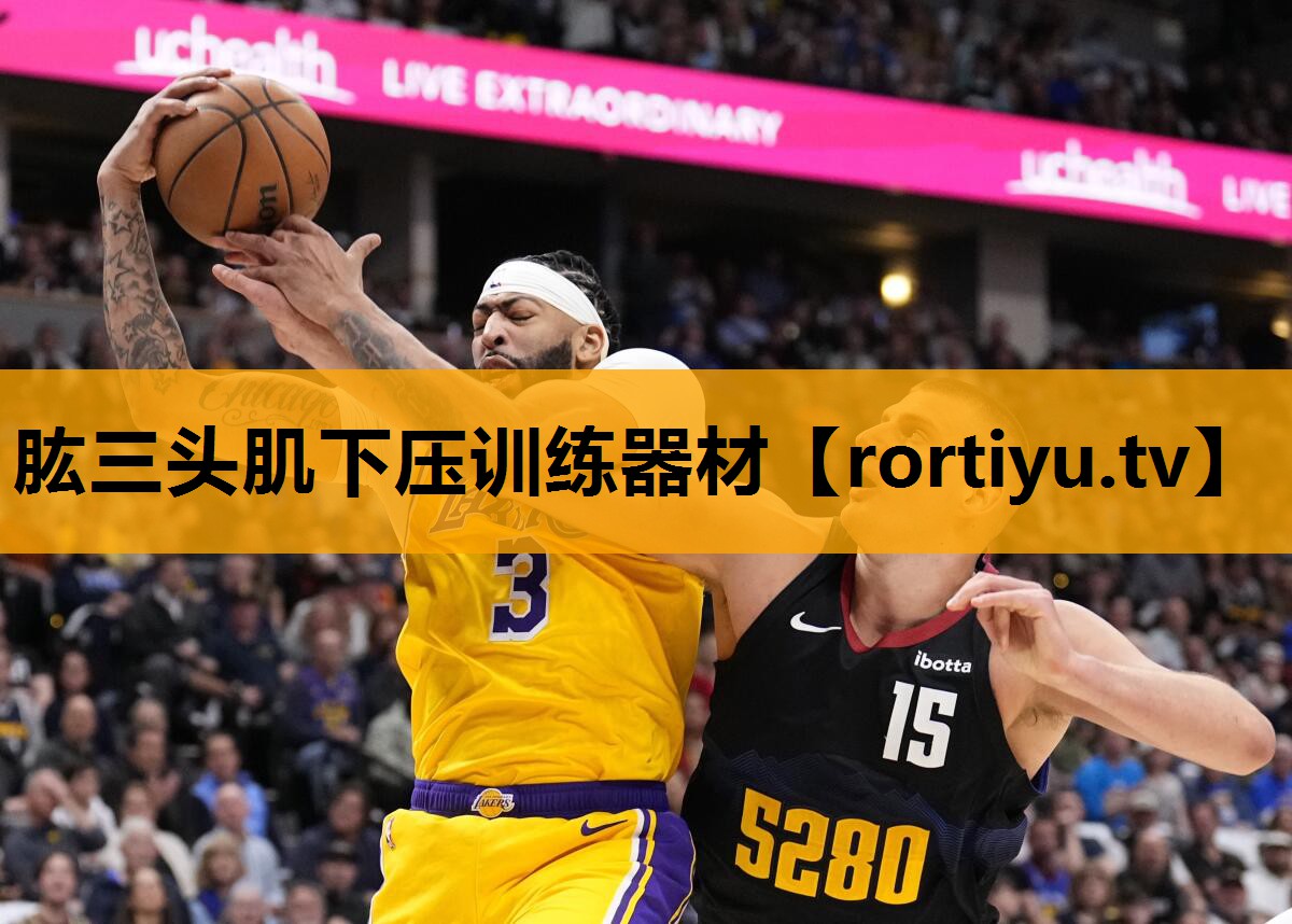 肱三头肌下压训练器材
