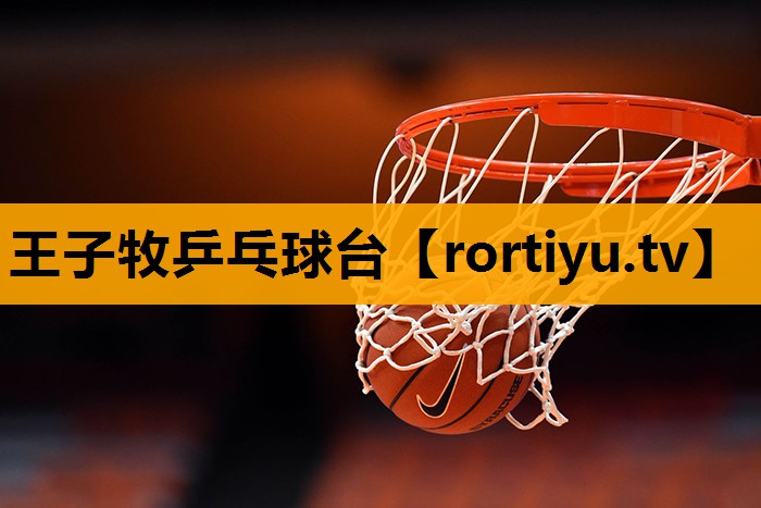 王子牧乒乓球台