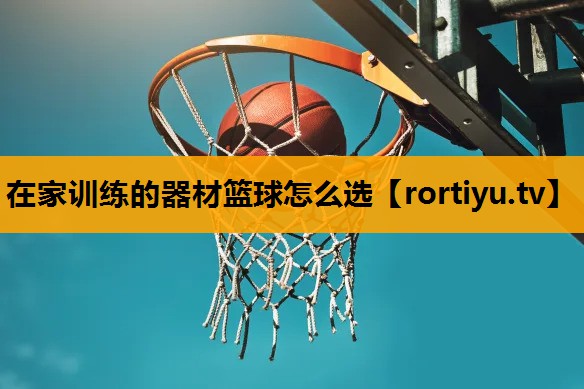 在家训练的器材篮球怎么选
