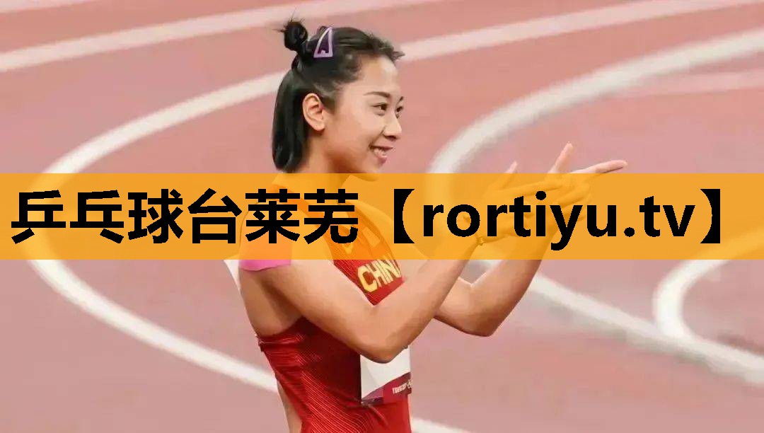 乒乓球台莱芜
